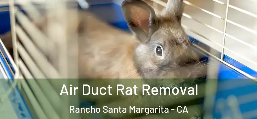 Air Duct Rat Removal Rancho Santa Margarita - CA