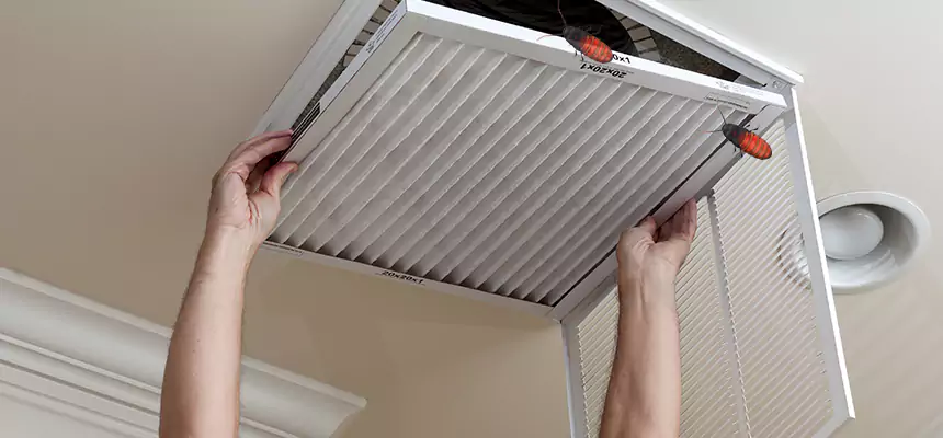 Preventive Cockroach-Proofing for Ducts in Rancho Santa Margarita