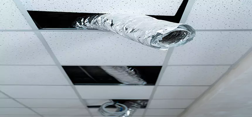 Our Air Duct Pet Hair Removal Services in Rancho Santa Margarita, CA