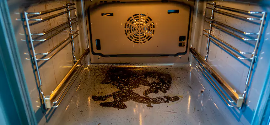 Our Dryer Vent Mold Cleaning Services in Rancho Santa Margarita, CA