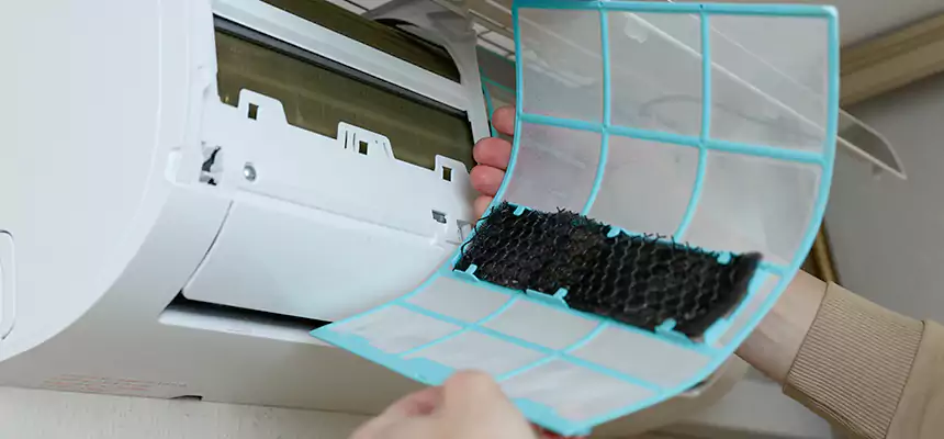 Gentle Ductwork Odor-Control Pet Dander Duct Cleaning in Rancho Santa Margarita, CA