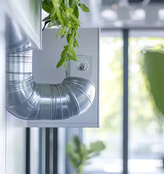 Professional Eco-Safe Dryer Vent Cleaning in Rancho Santa Margarita, CA