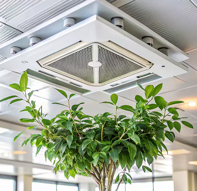 Why Homeowners & Businesses Trust Us in Rancho Santa Margarita, CA